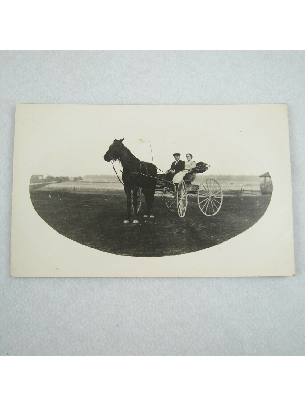 RPPC Real Photo Postcard Horse & Buggy Man Woman Couple Farm Antique 1904-1918